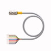 Turck Rk 12T-0.2 Actuator and Sensor Cable, Connection Cable