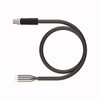 Turck Rsp46Ps-6 Power Cable, Connection Cable
