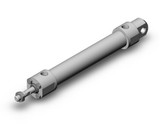 SMC CDG5EN20SR-100 Cg5, Stainless Steel Cylinder