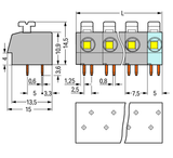 Wago 804-309 Pack of 15