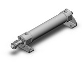 SMC CG5LN25TNSV-100 Cg5, Stainless Steel Cylinder