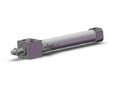SMC CDM2RKA20-100Z-M9PS round body cylinder cylinder, air
