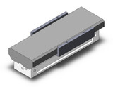 SMC MY1MW63TN-100L-M9NSAPC rodless cylinder slide bearing guide type