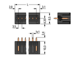 Wago 734-142/105-604/997-407 Pack of 200