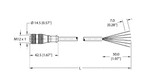 Turck Rk 4.6T-10 Actuator and Sensor Cable, Connection Cable