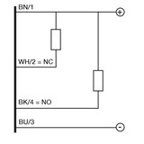Datasensing C18P/BN-1E Sensors