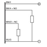 Datasensing C18P/BP-2A Sensors