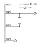Datasensing FFRS/0N-1E77 Sensors