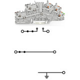 WAGO 2203-6543 Pack of 50