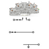 WAGO 2203-6660 Pack of 50
