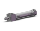 SMC CDM2RKA25-100Z-M9PSAPC Cylinder, Air