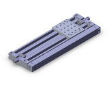 SMC MY2HT25TNG-300H-M9PSAPC Cylinder, Rodless