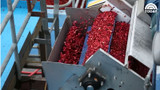 The Evolution of Cranberry Sauce Manufacturing