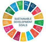 Engineering for Sustainable Development Goals