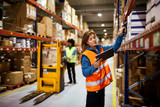 Material Handling for Warehouse Efficiency