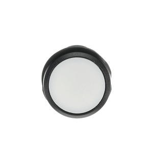 ABB CP1-10W-10 cp pb,mom,fls,wht,1no,blk rng