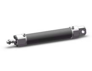 SMC CDG5EA25SR-100-X165US Cg5, Stainless Steel Cylinder