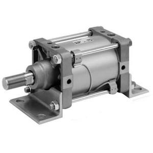 SMC CS2YB125TN-25A CS2Y Series Smooth Cylinder