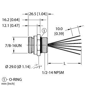 Turck Rsf 61-2M Single-ended Receptacle, Male Receptacle