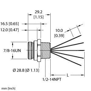Turck Rsf 56-0.3M/Npt Single-ended Receptacle, Male Receptacle