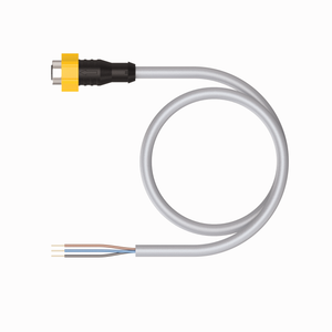 Turck EKRL-A4.300-FE24-5 ID# 200000817