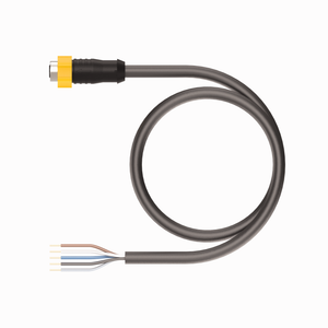 Turck EKRT-B5.500-GU8K-2 ID# 200001316