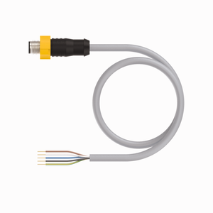 Turck ESRT-A5.5GD-GC84-0.3 ID# 200002062