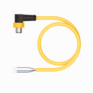 Turck ESWT-A4.400-GC2Y-1 ID# 200001389