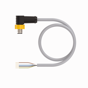 Turck ESWT-A5.5GD-GC84-2 ID# 200001585 Turck ESWT-A5.5GD-GC84-2 ID# 200001585