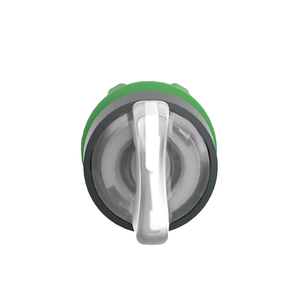 Schneider Electric ZB5AK1813 Selector Ill. Pushbotton