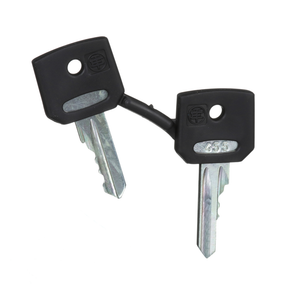 Schneider Electric ZBG455 Set Of Key N 455