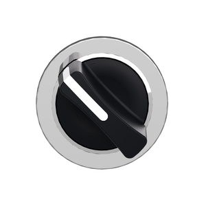 Schneider Electric ZB4FD2 Flush Sw Bk 2Pos Stay Put