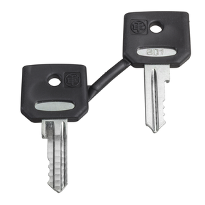 Schneider Electric ZBG3131A Set Of Key N 3131A Schneider Electric ZBG3131A Set Of Key N 3131A