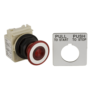 Schneider Electric 9001SKR9P38LRRH13 Pushbutton 120V 30Mm Sk +Options Schneider Electric 9001SKR9P38LRRH13 Pushbutton 120V 30Mm Sk +Options
