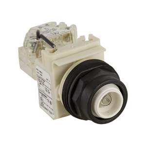 Schneider Electric 9001SKT38 Pilot Light 120V 30Mm Sk +Options