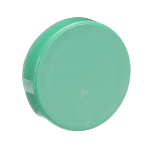 ABB A3XLFNG NEMA A3 30mm Flush Button Cap