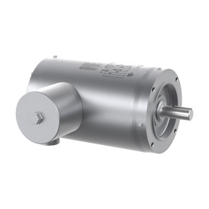 ABB Baldor-Reliance VFSWDNM3558T-4E  2 HP 1760 RPM 143TC TENV Stainless Washdown Motor