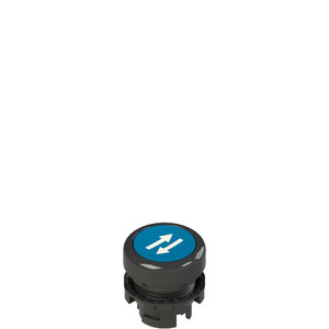Pizzato E2 1PU2R621L58 Spring-Return Blue Flush Pushbutton with Marking - Reliable Control Solution