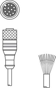 Leuze KD S-M12-CA-P1-020 Connection cable Leuze KD S-M12-CA-P1-020 Connection cable