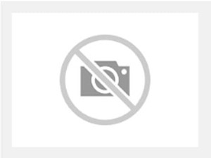 ABB OHY65L10B 65mm Pistol Handle Emergency Module for XT Series - UL N4/4X Compliant, Industrial-Grade Durability and Safety