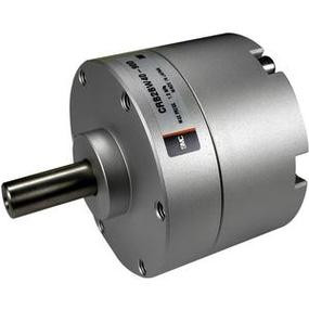 SMC 20-CDM2RA25-100-G59W