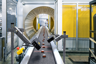 Unlocking New Levels of Efficiency in Packaging and Logistics with 3D Machine Vision