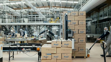 How to Choose an Automated Palletizing System