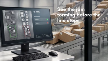 Zebra AI Jam Detection for Sorters | Iris GTX + Aurora