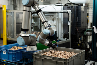 How 3D Vision and Cobots Are Driving Pick-and-Place Automation
