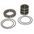 Nexen 913018 5H 35P-E Repair Kit