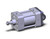 SMC NCA1X250-0100 Cylinder, Nca1, Tie Rod