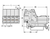 Wago 831-3204/007-9034 1-conductor male connector, Push-in CAGE CLAMP®, light gray