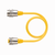 Turck Ry 61-10M Cordset U-87672