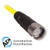 Turck Csbm Ckbm 12-11-5 Double-ended Cordset, Straight Male Connector to Straight Female Connector 777001610